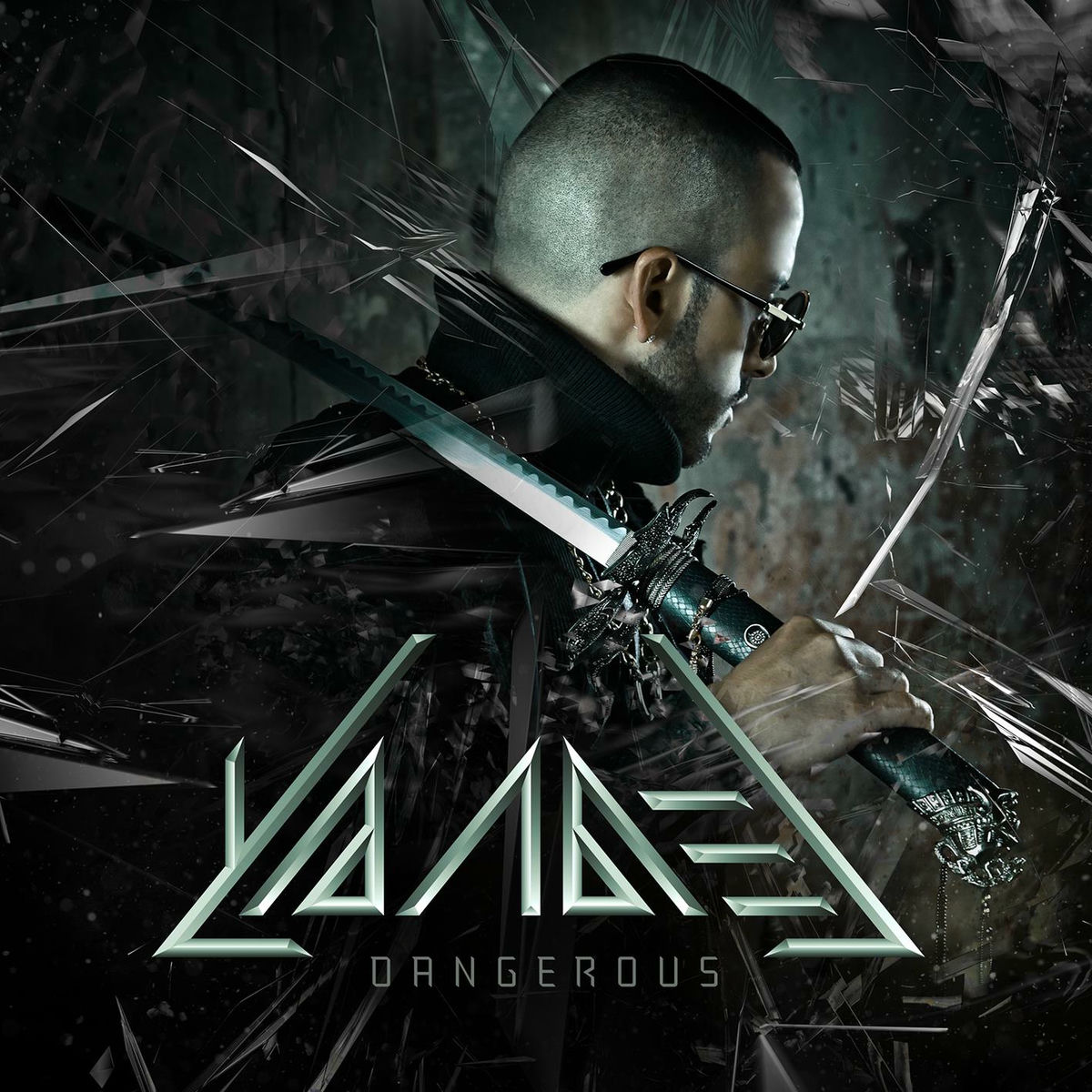 Album picture of Dangerous