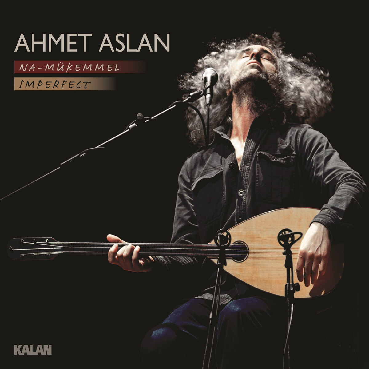 Album cover of Dermanın Olayım