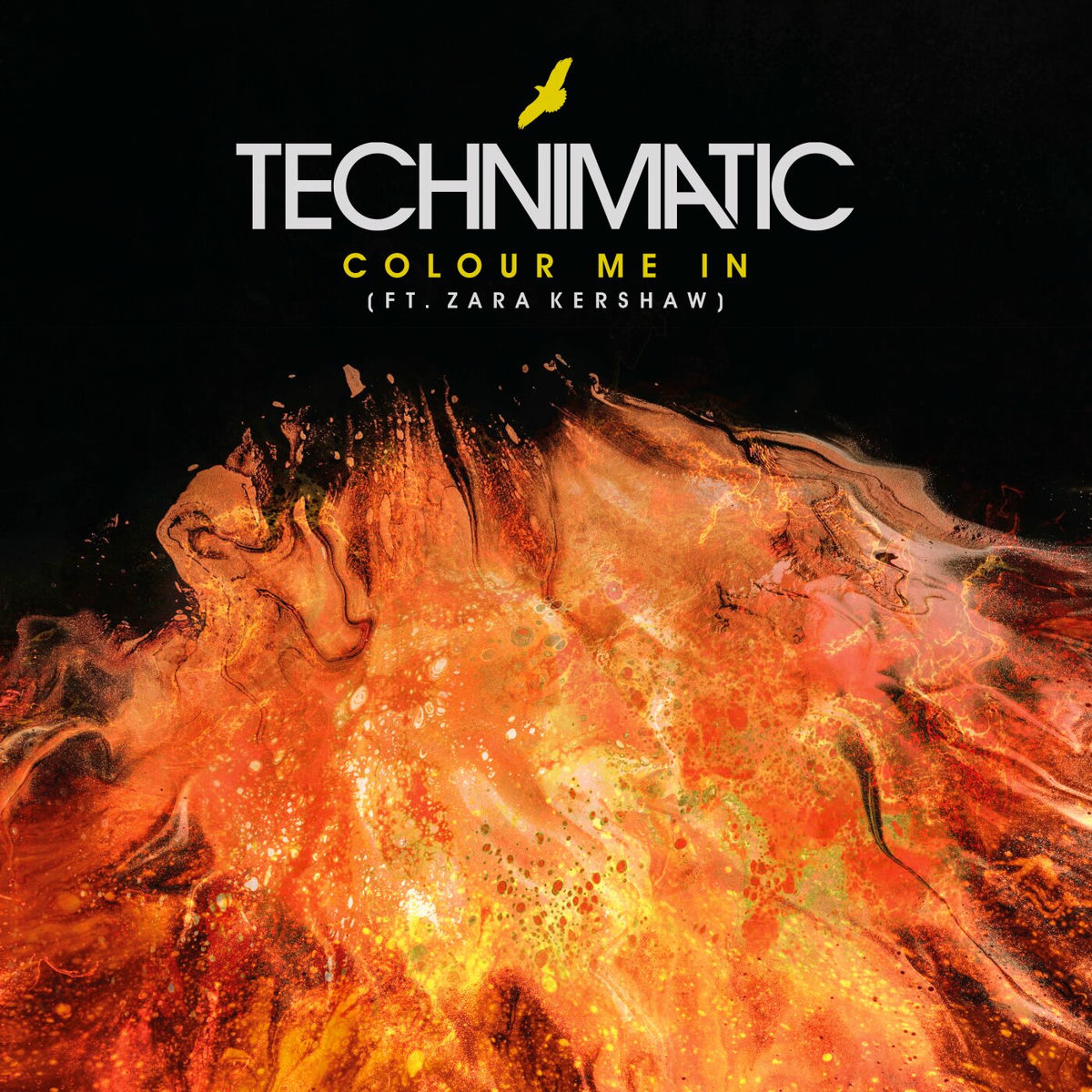 Album cover of Colour Me In