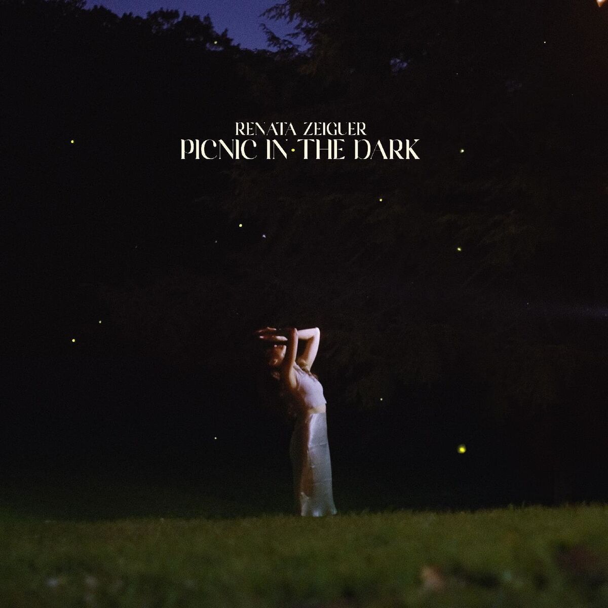 Album cover of Picnic in the Dark