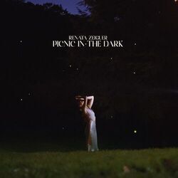 Cover of Picnic in the Dark