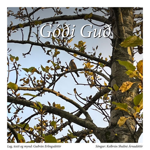 Góði Guð
