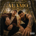 &Aacute;lamo