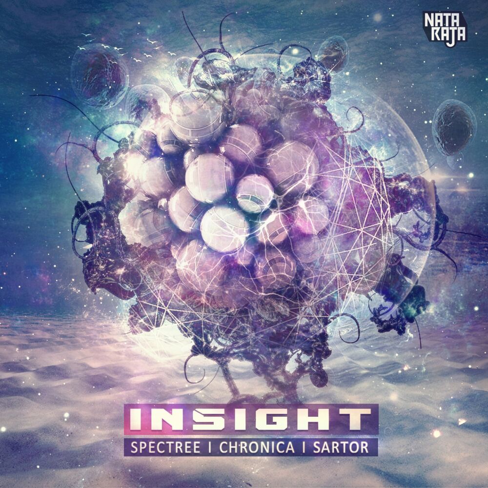 Picture of Insight