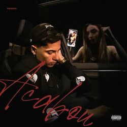 Cover of Acabou