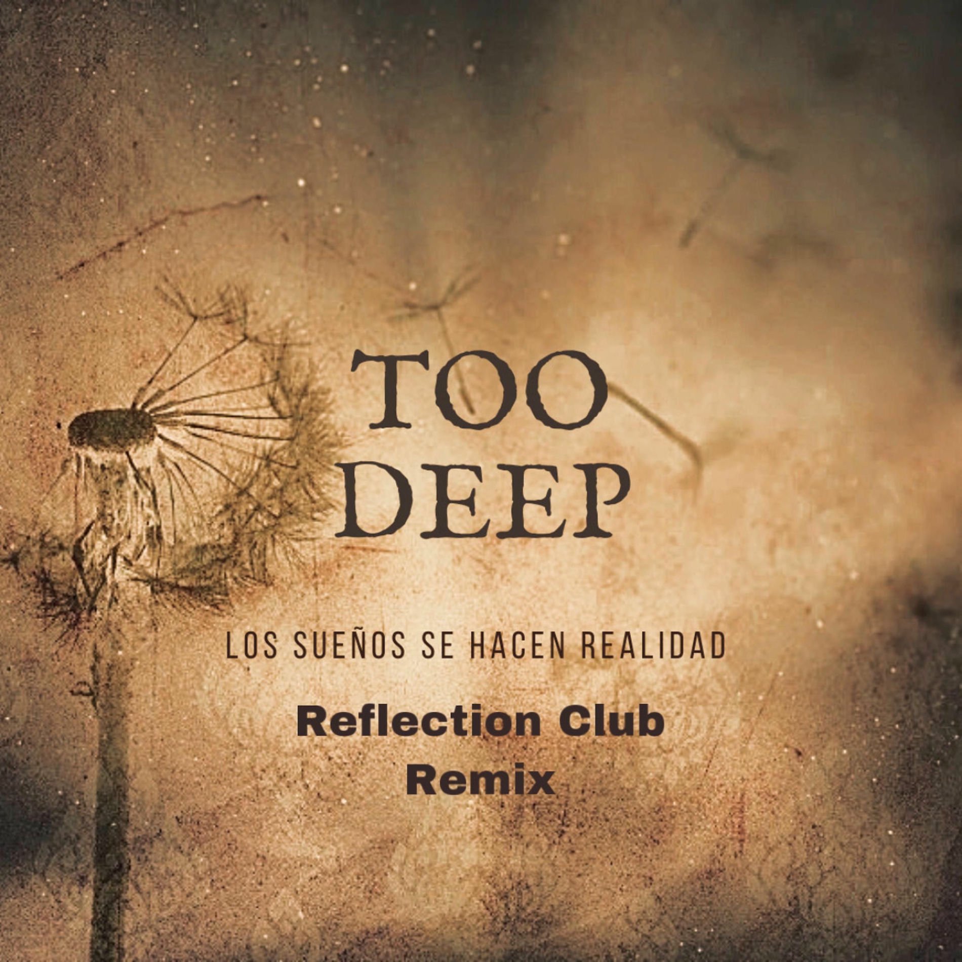 Album cover of Los sueños se hacen realidad (Reflection Club Remix)