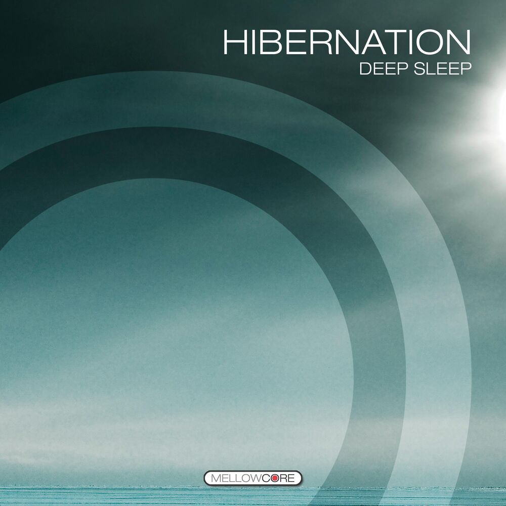 Picture of Hibernation