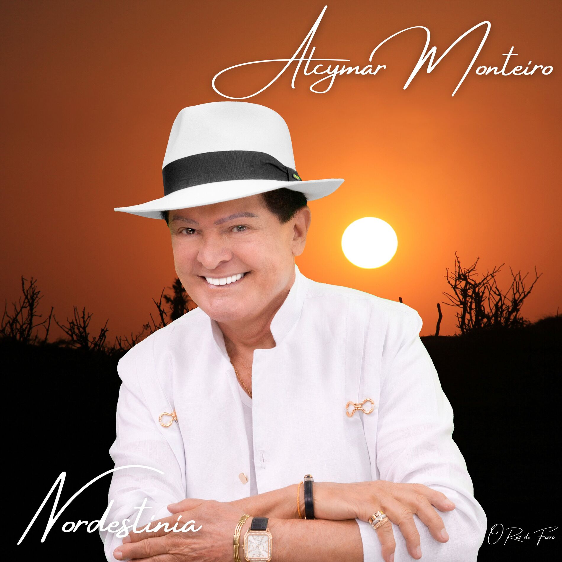 Album cover of Nordestinía