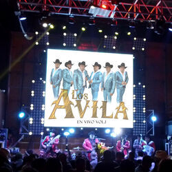 Cover of En Vivo, Vol. 1