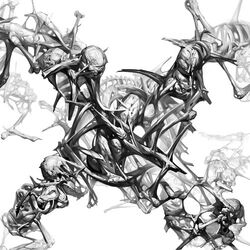 Cover of Unity