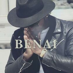 Cover of BENAI