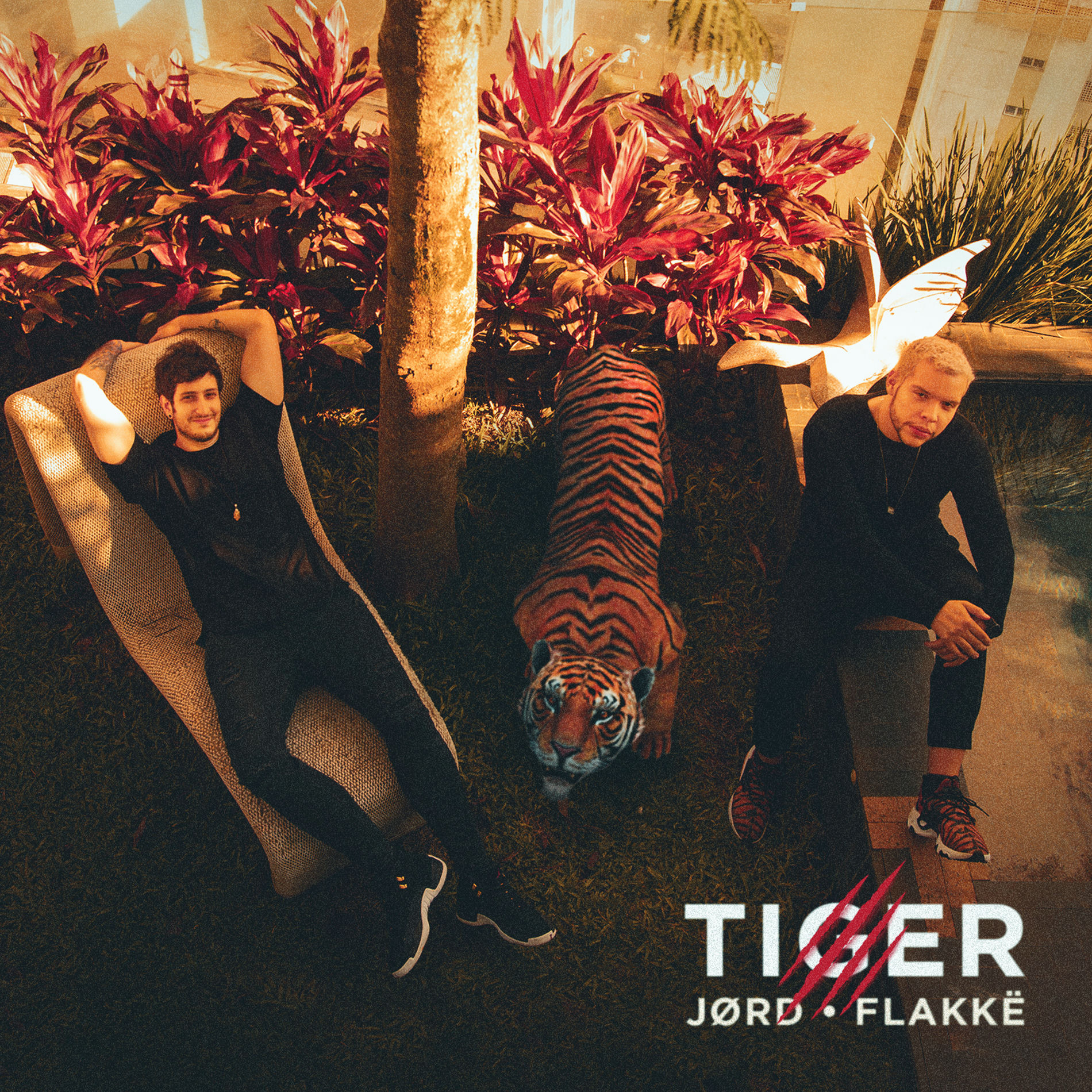 Album cover of Tiger