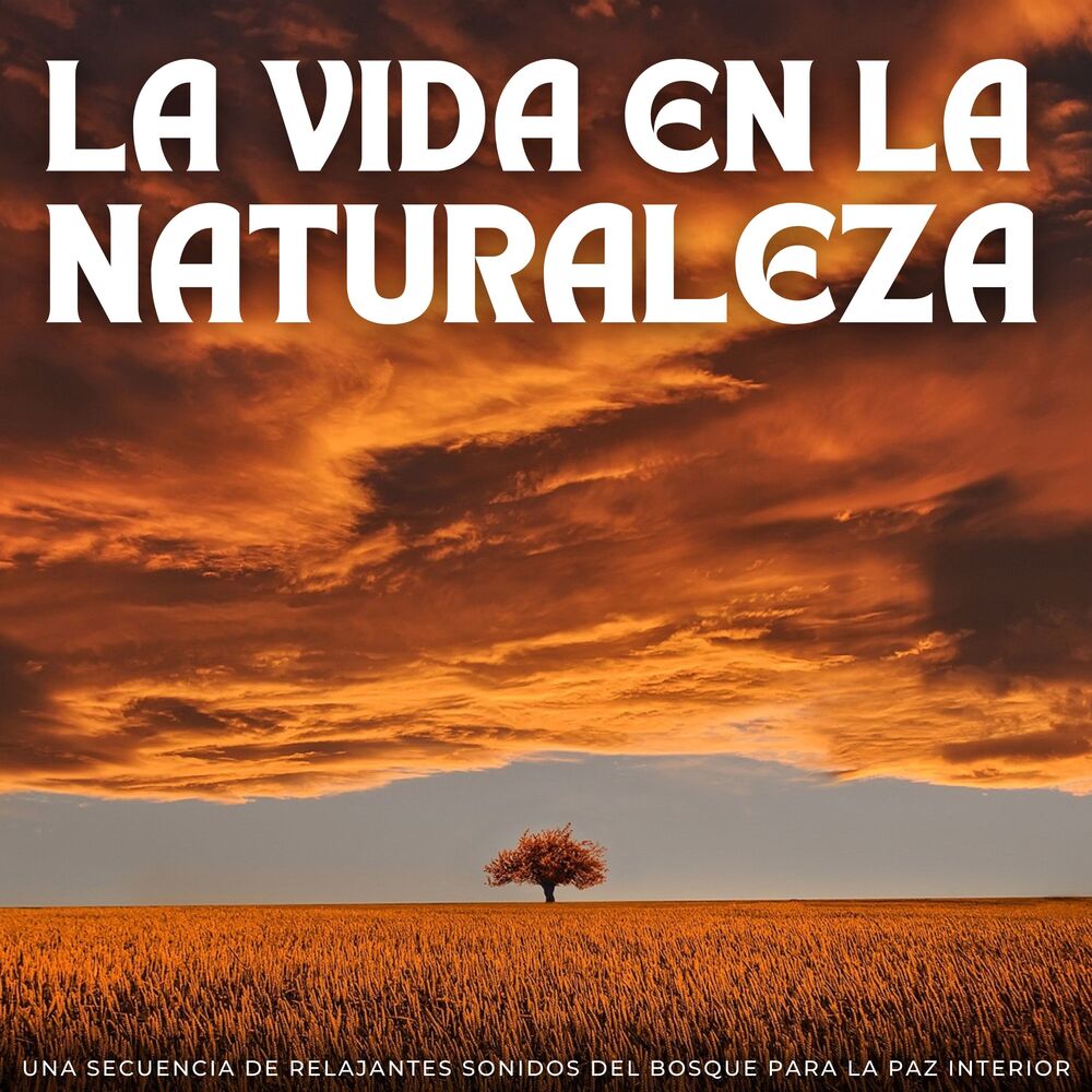 Picture of La Vida En La Naturaleza: Una Secuencia De Relajantes Sonidos Del Bosque Para La Paz Interior