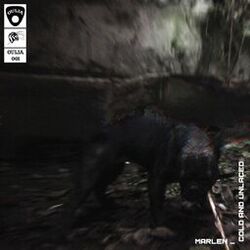 Cover of Cold and Unlaced
