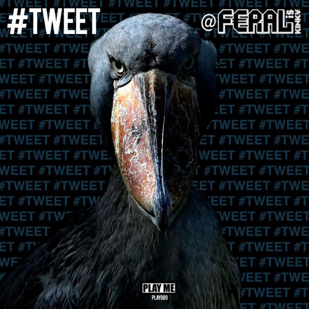 Picture of #TWEET