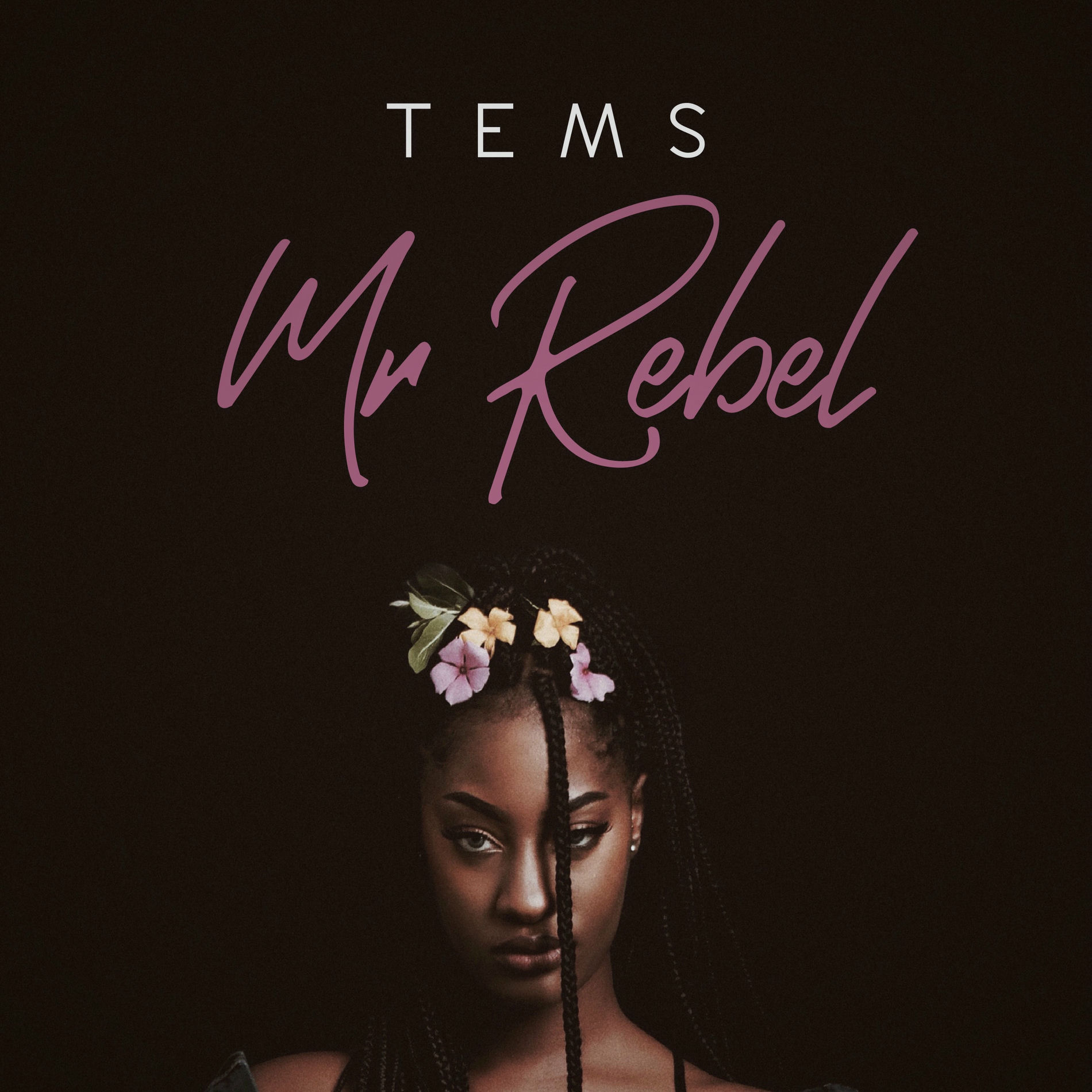 Album cover of Mr Rebel