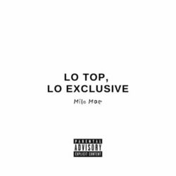 Cover of LO TOP, LO EXCLUSIVE