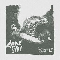Cover of Terms