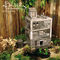 Stuck in a Hard Place (feat. MC Jabber) by Blue Foundation album cover