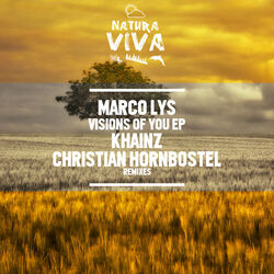 Cover of Visions of You