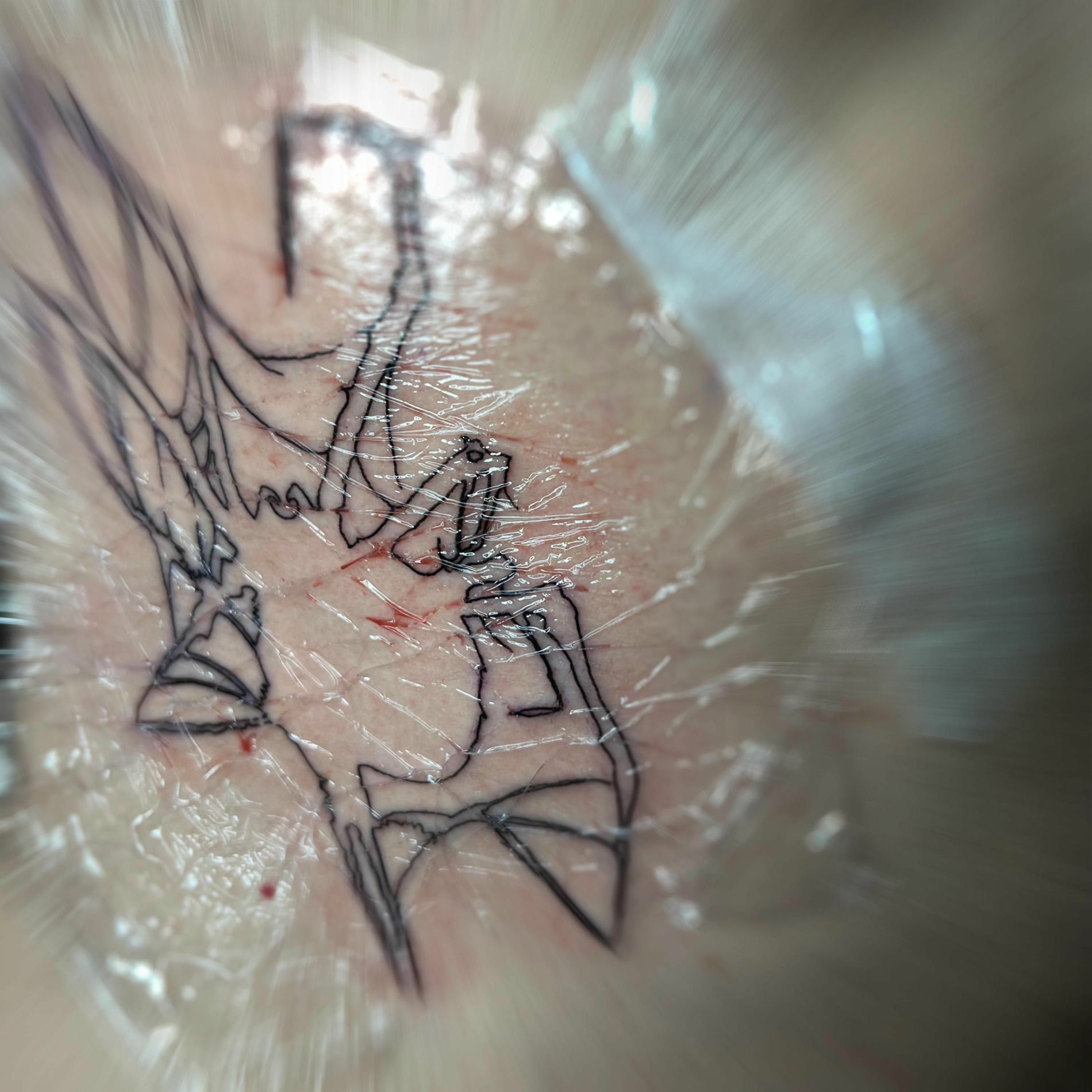 Album cover of Nova Ardor