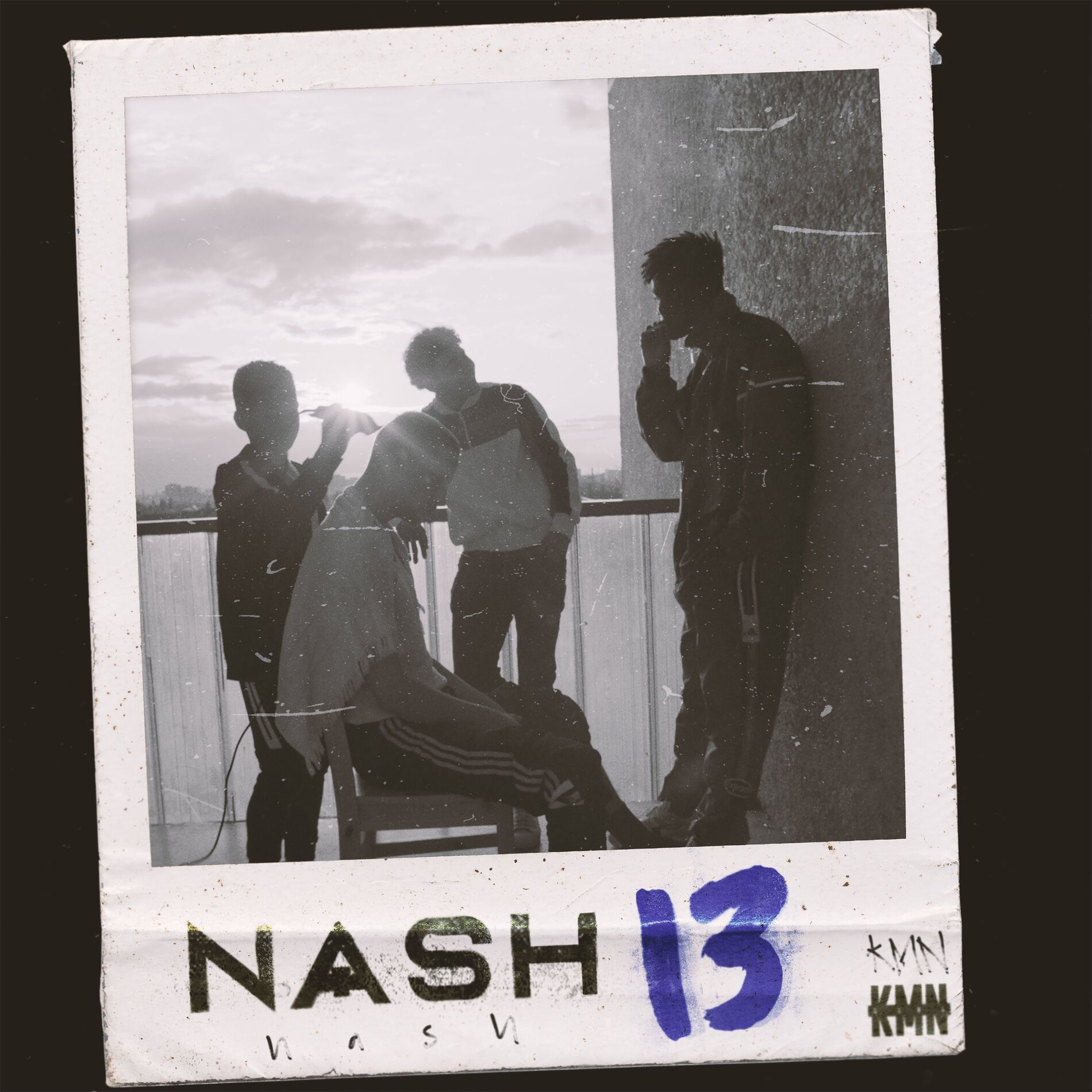 Album cover of 13