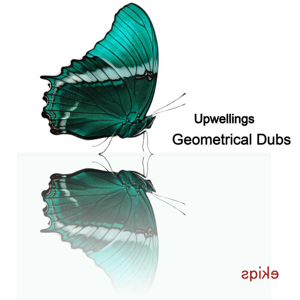 Picture of Geometrical Dubs
