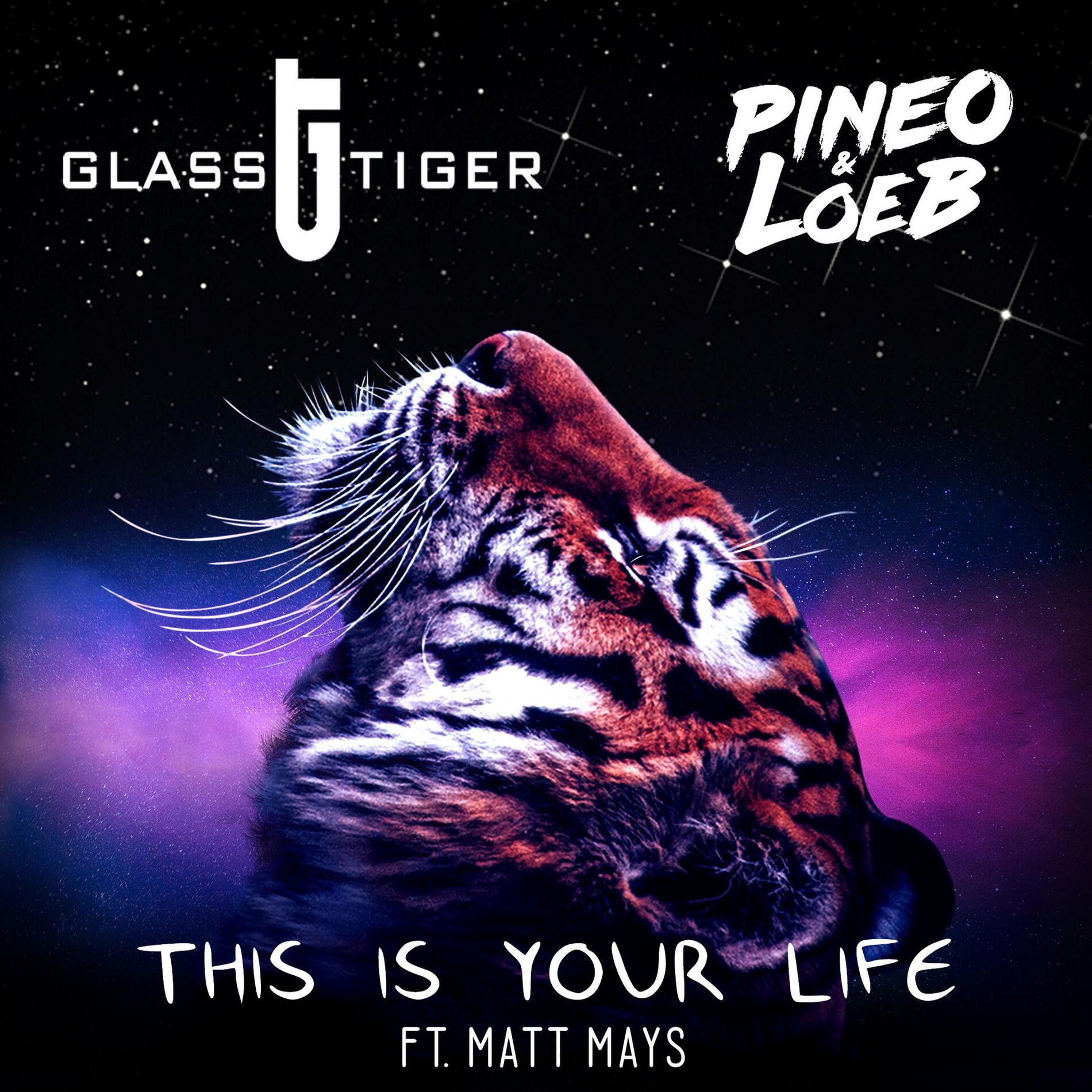 Album cover of This Is Your Life (feat. Matt Mays)