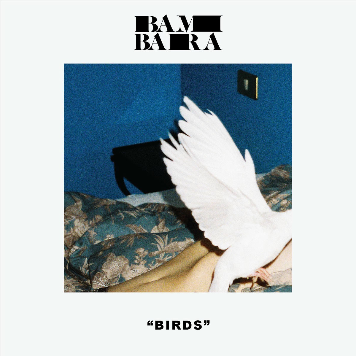 Album cover of Birds