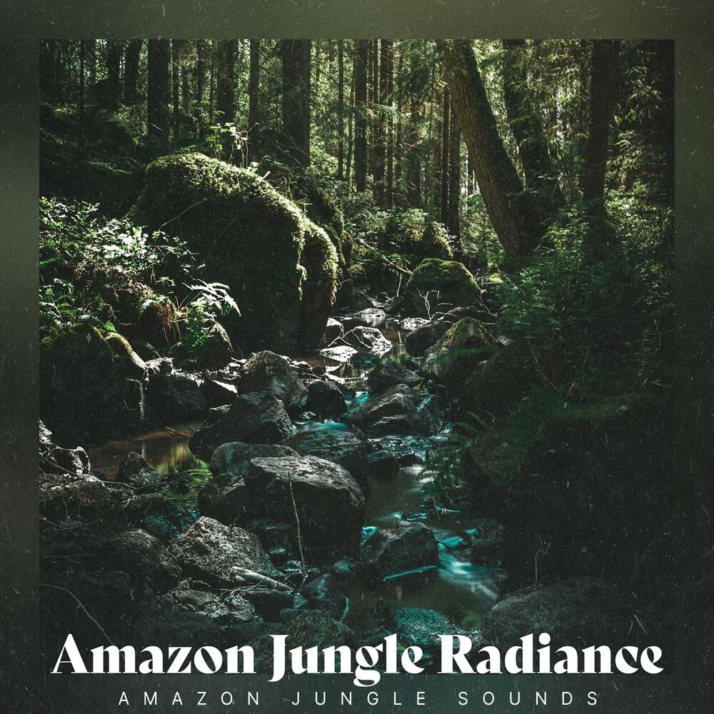 Picture of Amazon Jungle Radiance