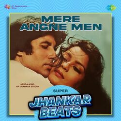 Cover of Mere Angne Men