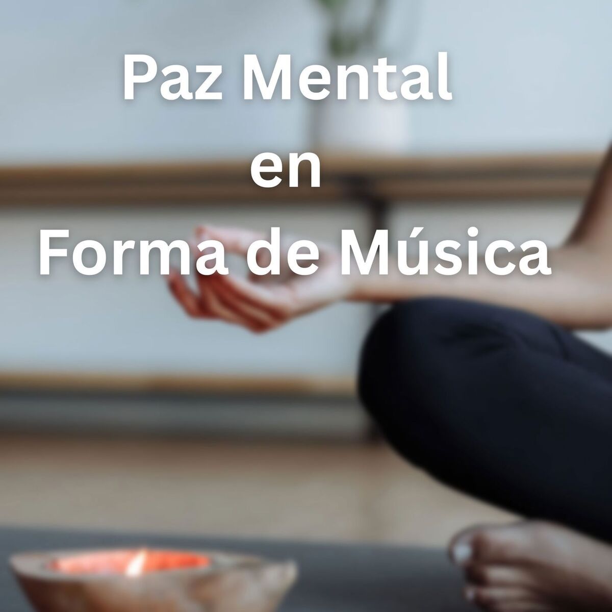 Album cover of Paz mental en Forma de Música