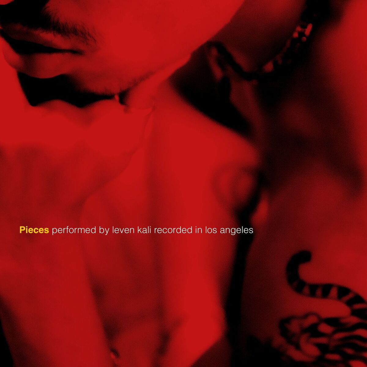 Album cover of Pieces