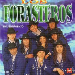 Cover of Un Sentimiento