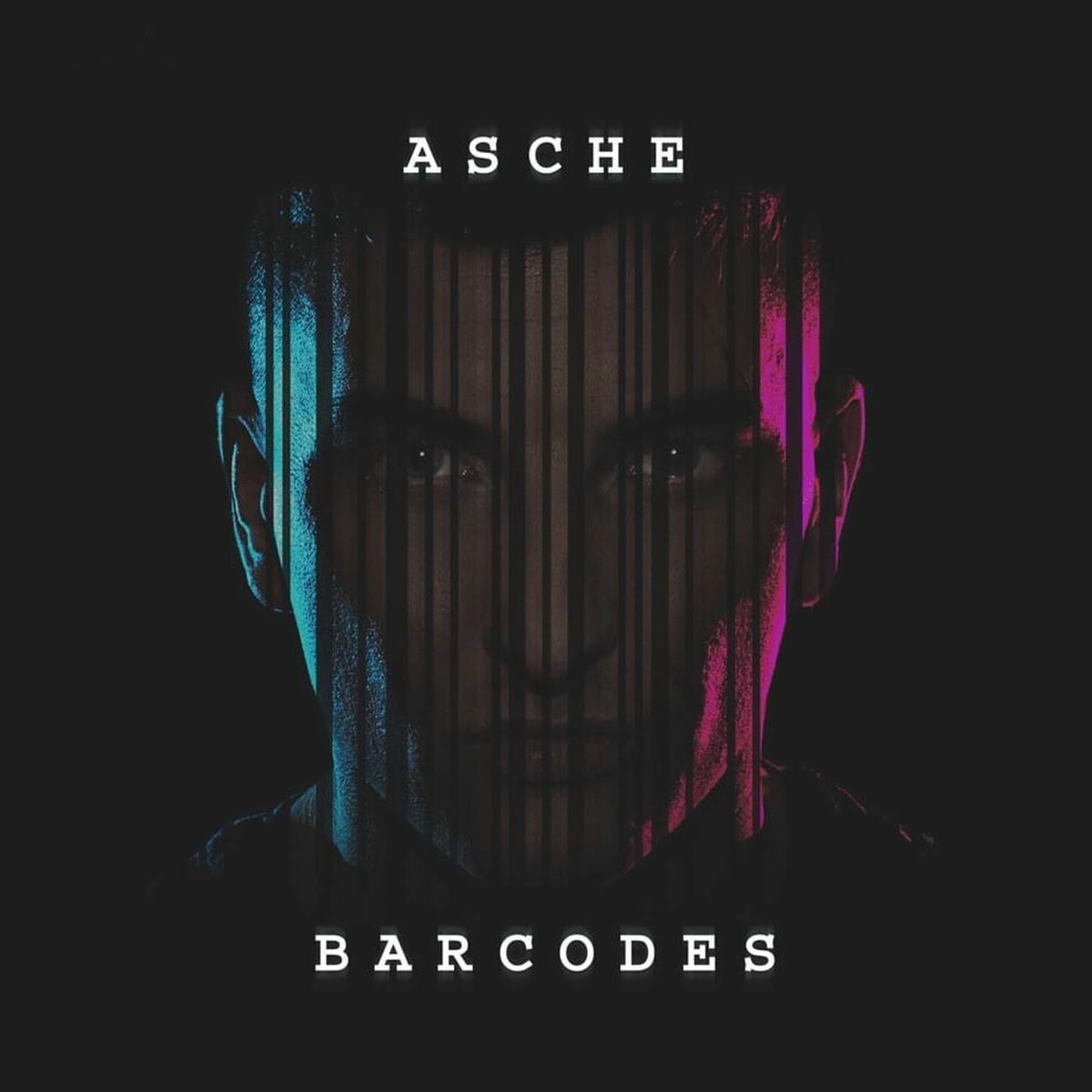 Album cover of Barcodes
