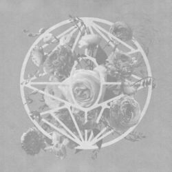 Cover of Turn the Light On (Deluxe Edition)