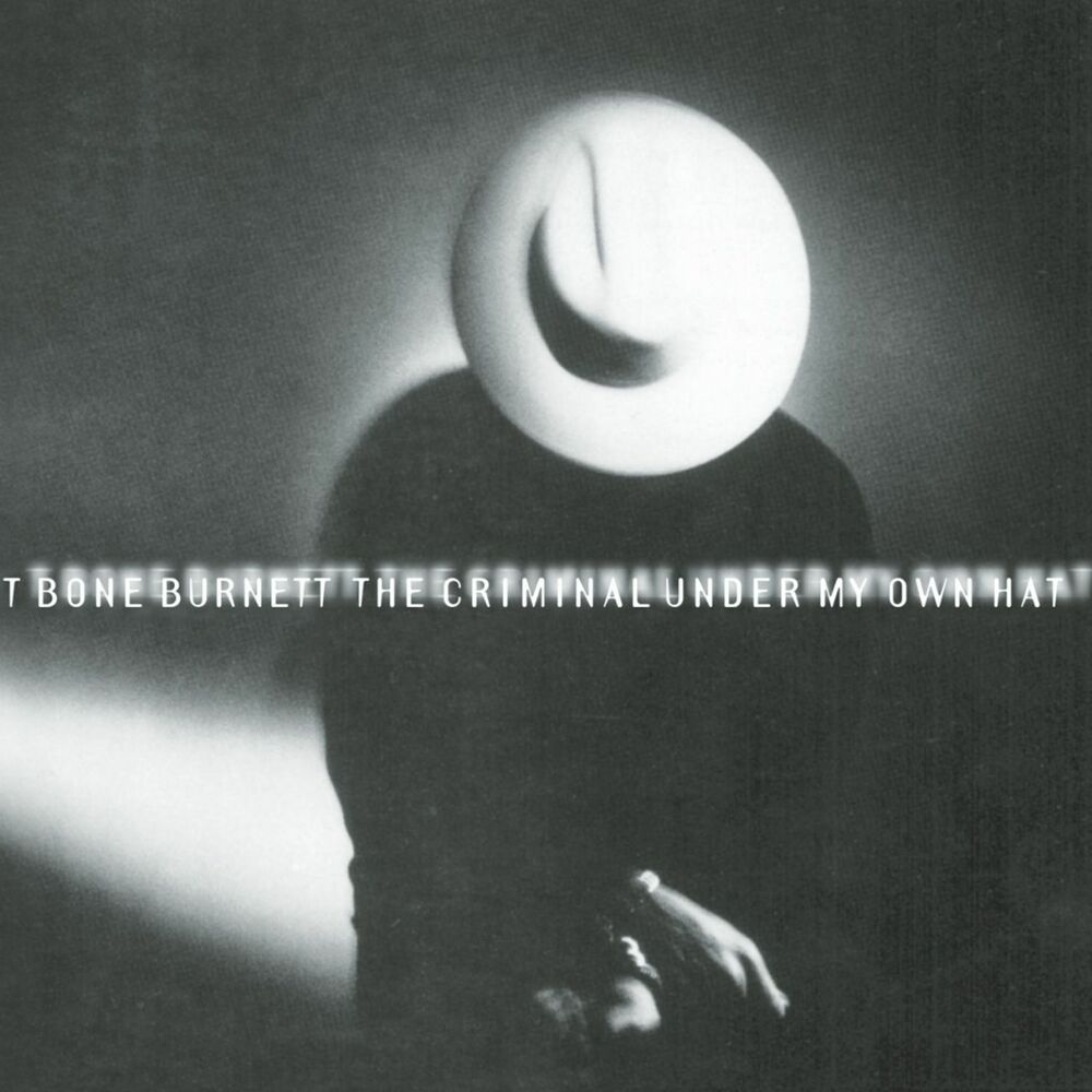 Picture of The Criminal Under My Own Hat