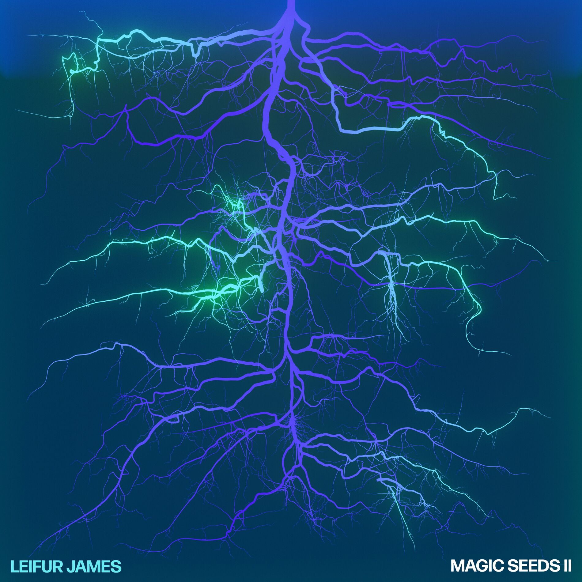 Album cover of Magic Seeds II