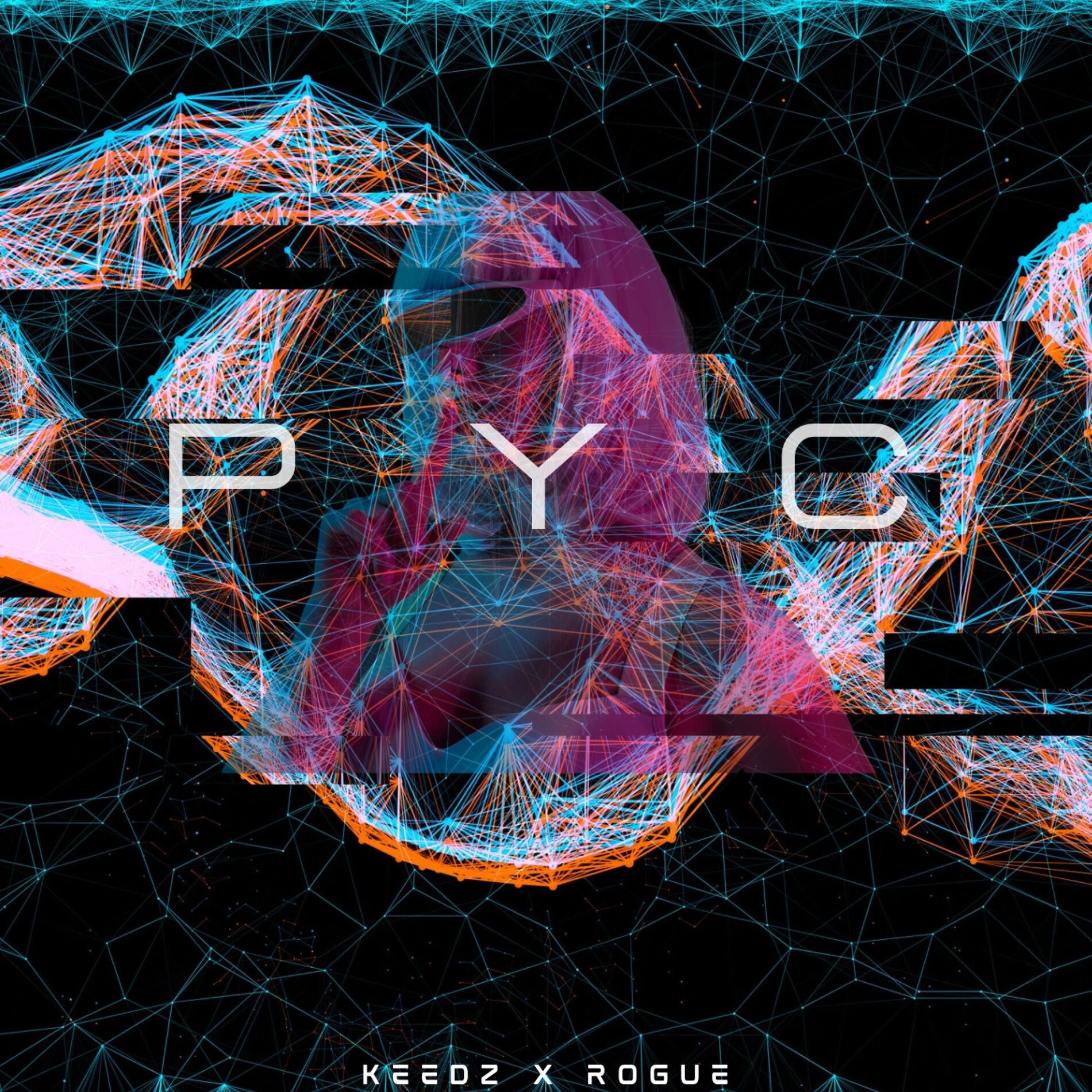 Album cover of P Y C (feat. Rogue)