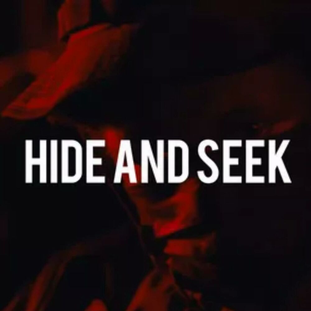 Picture of HIDE & SEEK