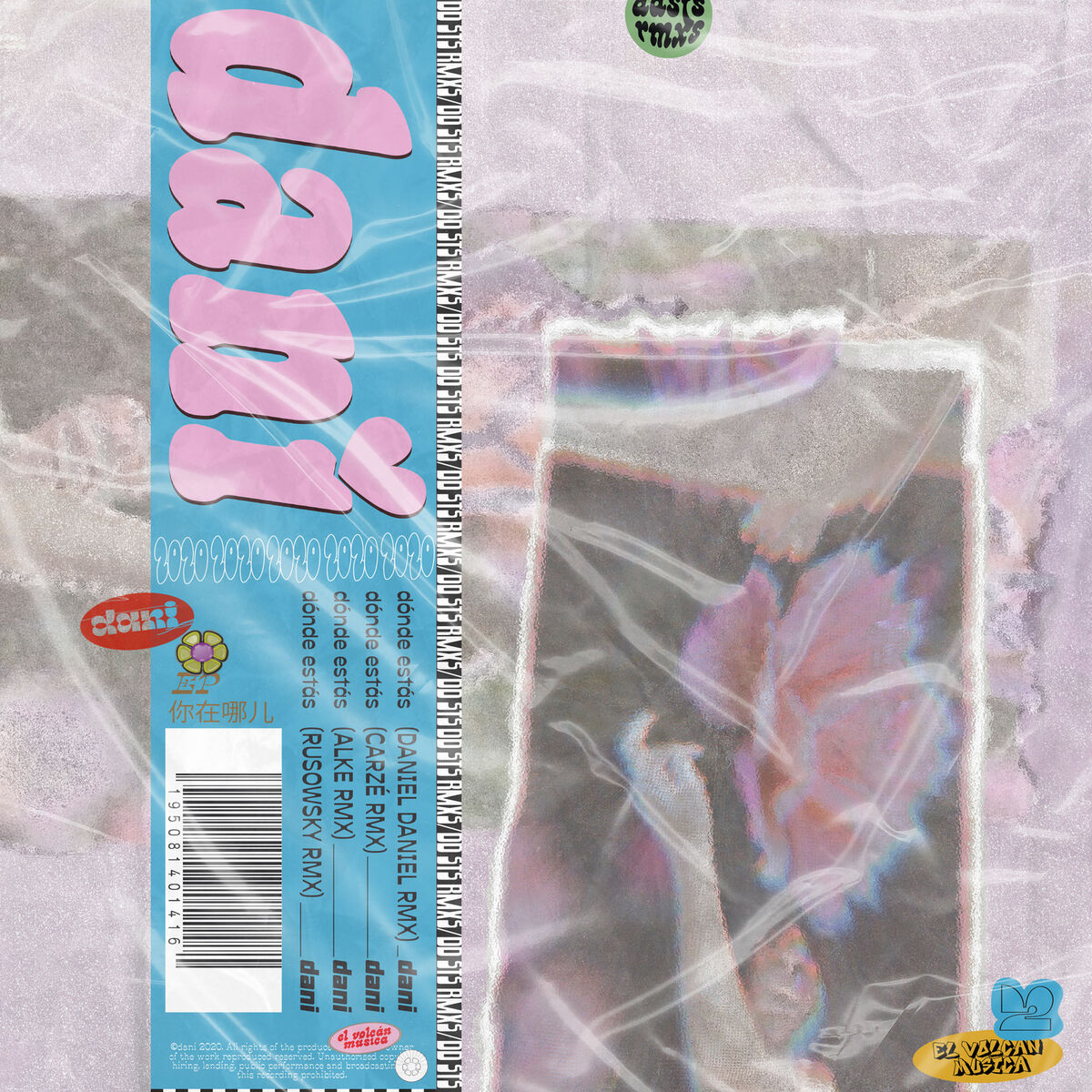 Album cover of dd sts rmxs