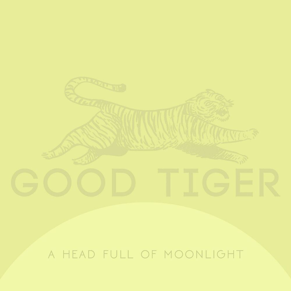 Picture of A Head Full of Moonlight