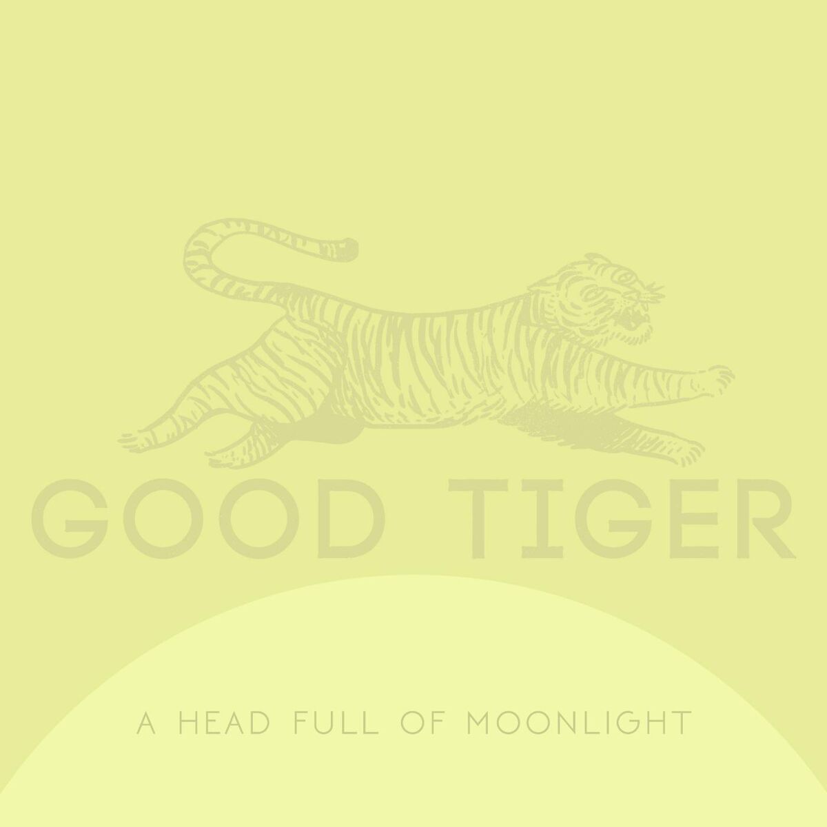 Album cover of A Head Full of Moonlight