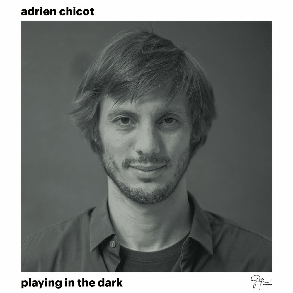 Picture of Playing in the Dark