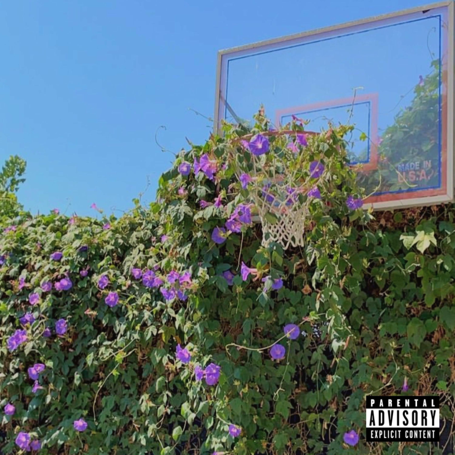 Album cover of Soulstar