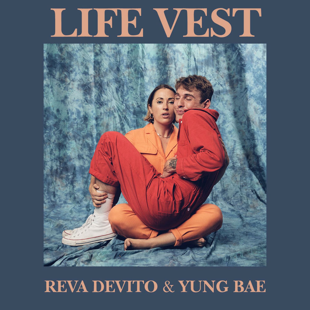 Life Vest cover