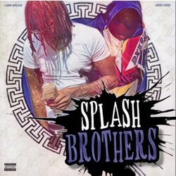 Cover of Splash Brothers