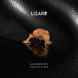 Cover of Bagaceira