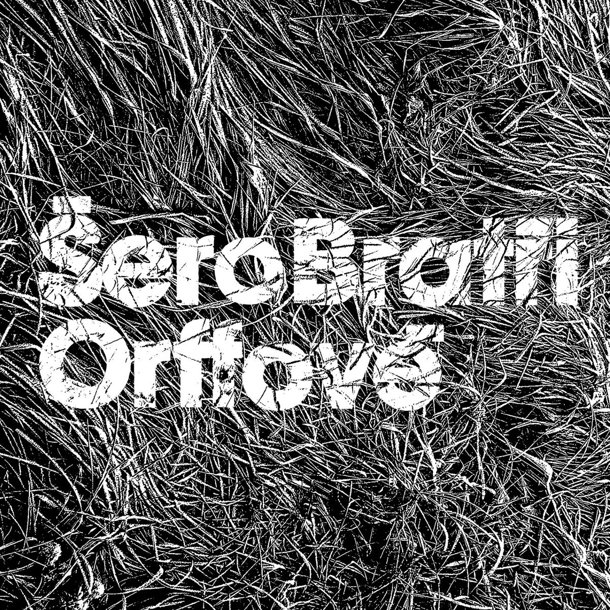 Album picture of Šero