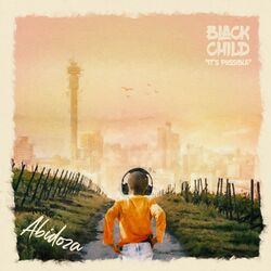 Cover of Diamond Walk (feat. Cassper Nyovest and DJ Sumbody)